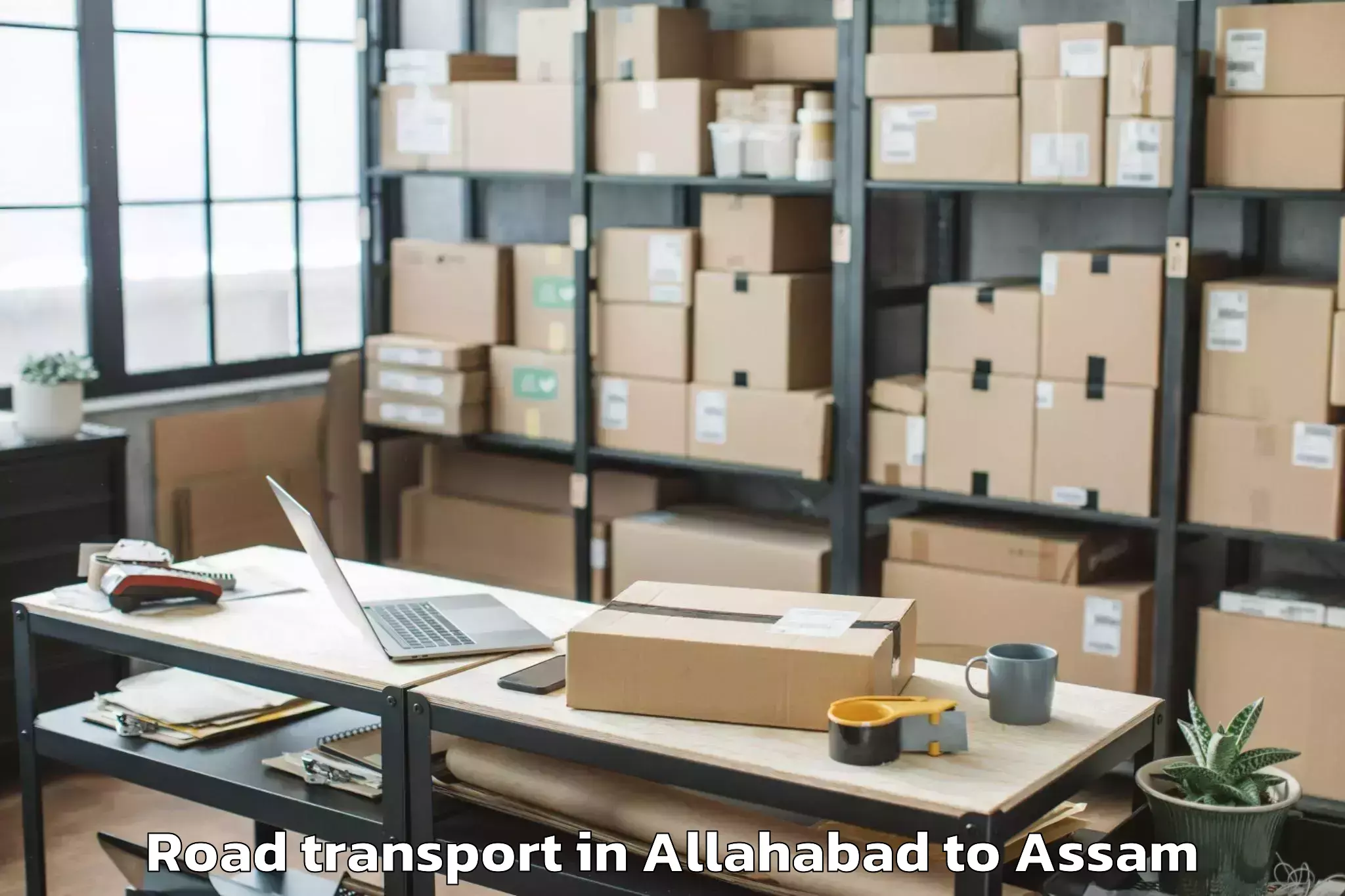 Get Allahabad to Bijni Road Transport